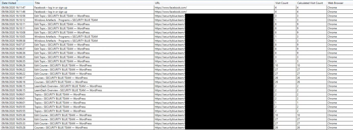 Windows Artifacts - Browsers - source page 81