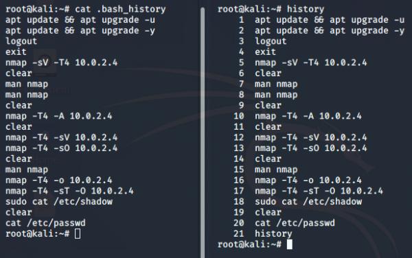 Linux Artifacts: User Files - source page 104